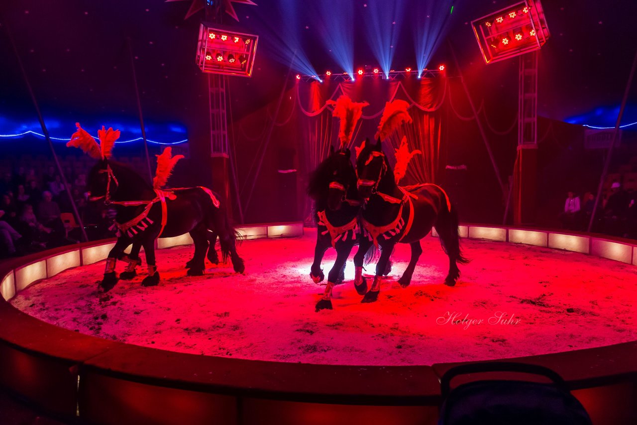 Bild 66 - Circus Europa